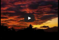 Turin Surprise You