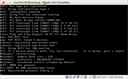 CentOS 5 si blocca durante l'installazione in VirtualBox